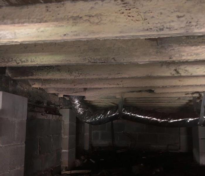 White mold in a crawlspace of a home