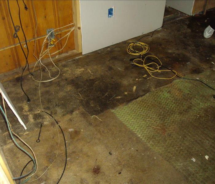Water Damage and Mold Damage