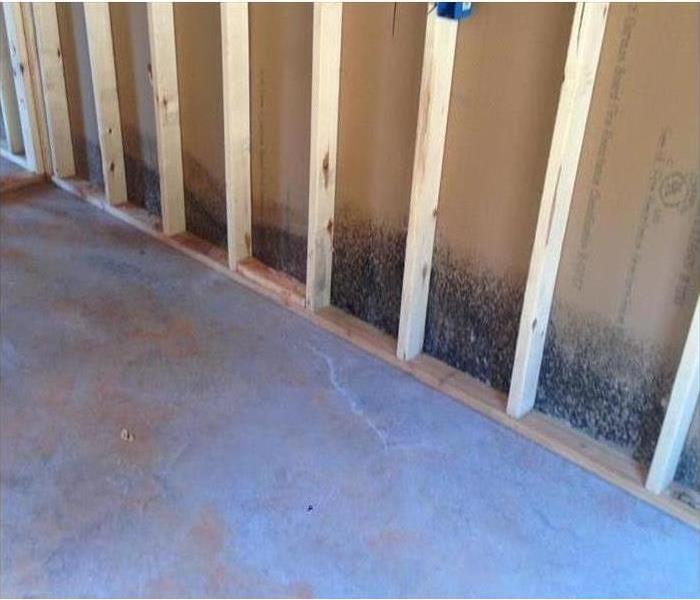 Interior of a drywall growing mold growth on the bottom