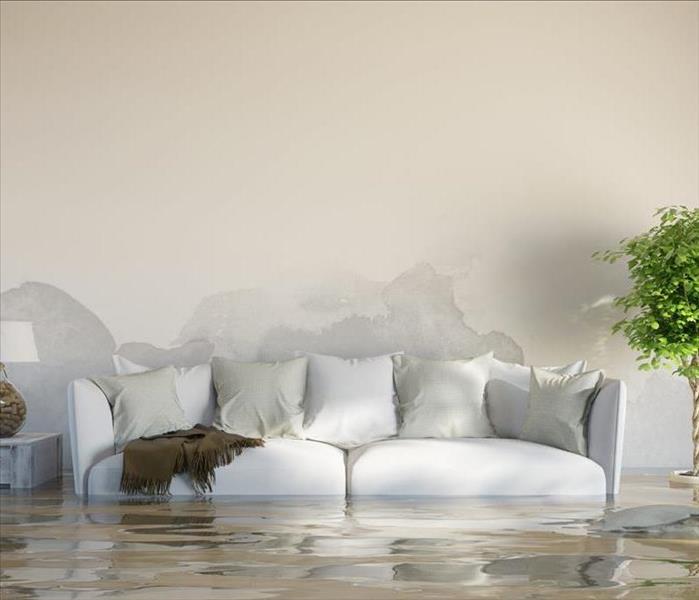 Water flooded in a home. Couch, plant, and side table are submerged in water. 